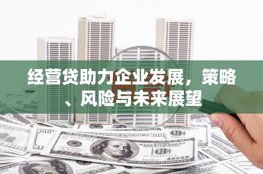 凤县经营贷助力企业发展，策略、风险与未来展望