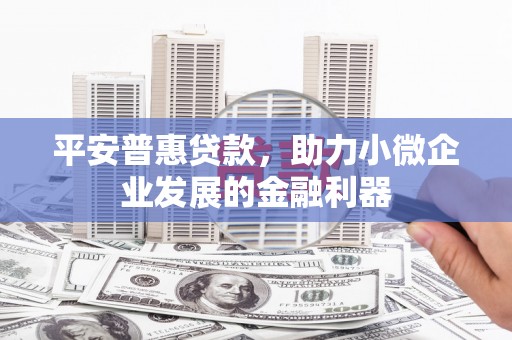凤县平安普惠贷款，助力小微企业发展的金融利器