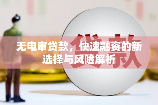 凤县无电审贷款，快速融资的新选择与风险解析