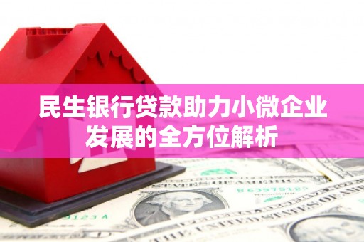 凤县民生银行贷款助力小微企业发展的全方位解析
