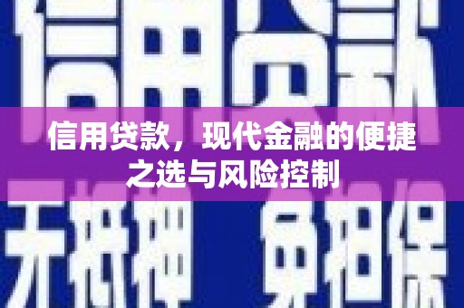 凤县信用贷款，现代金融的便捷之选与风险控制