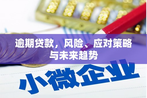 凤县逾期贷款，风险、应对策略与未来趋势