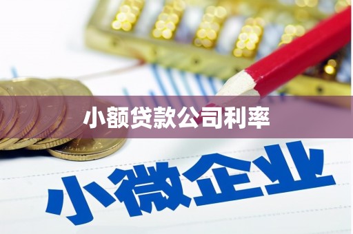 凤县小额贷款公司利率