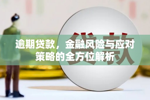 凤县逾期贷款，金融风险与应对策略的全方位解析