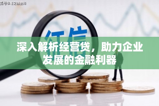 凤县深入解析经营贷，助力企业发展的金融利器