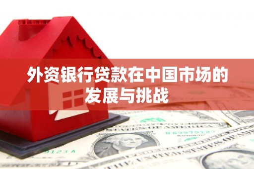 凤县外资银行贷款在中国市场的发展与挑战