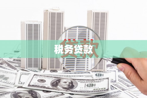 凤县税务贷款