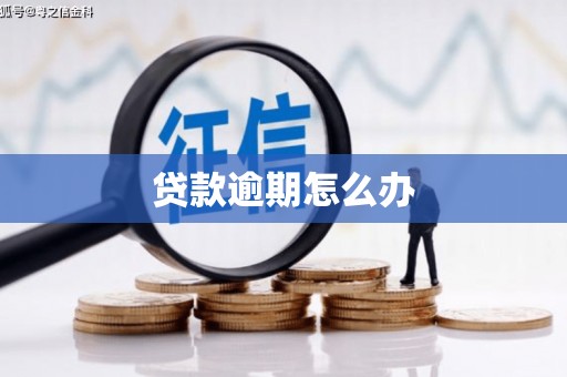 凤县贷款逾期怎么办