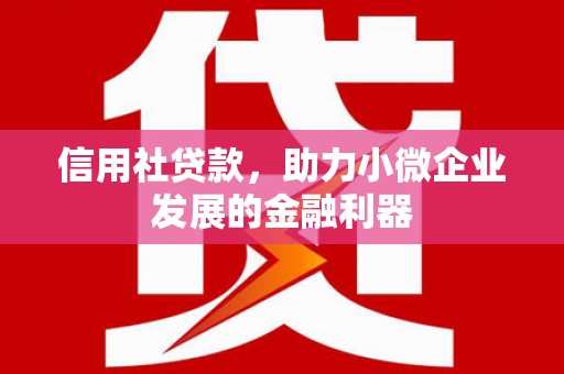 凤县信用社贷款，助力小微企业发展的金融利器