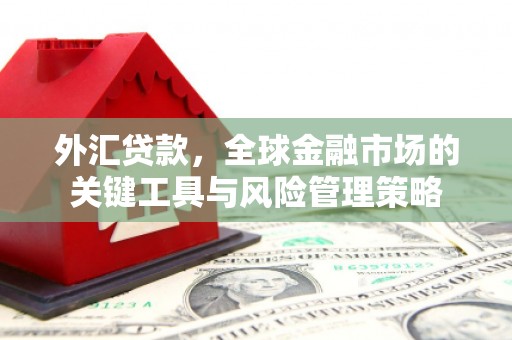 凤县外汇贷款，全球金融市场的关键工具与风险管理策略