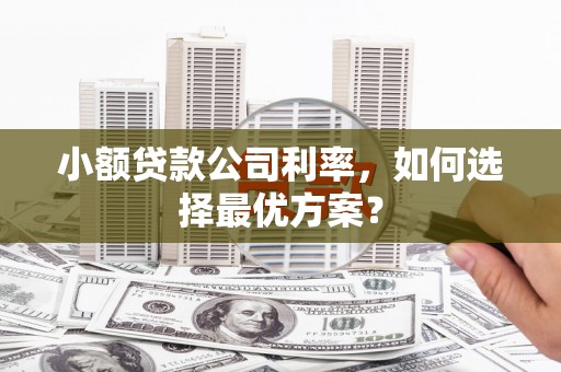 凤县小额贷款公司利率，如何选择最优方案？