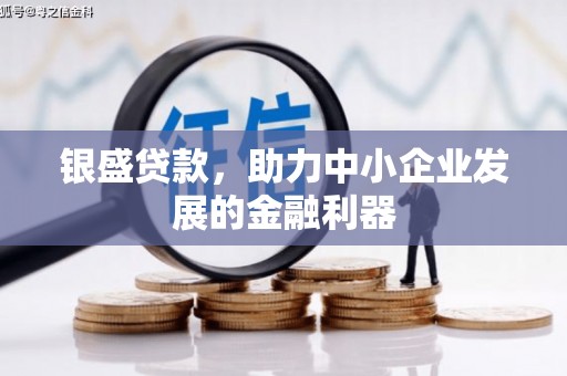 凤县银盛贷款，助力中小企业发展的金融利器