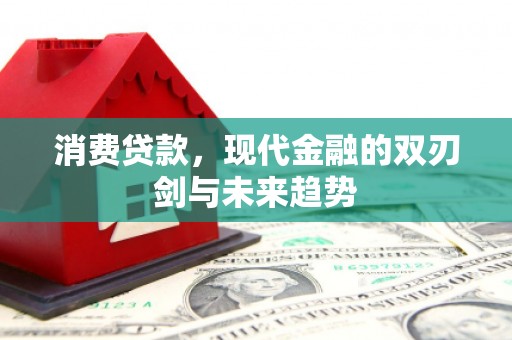 凤县消费贷款，现代金融的双刃剑与未来趋势
