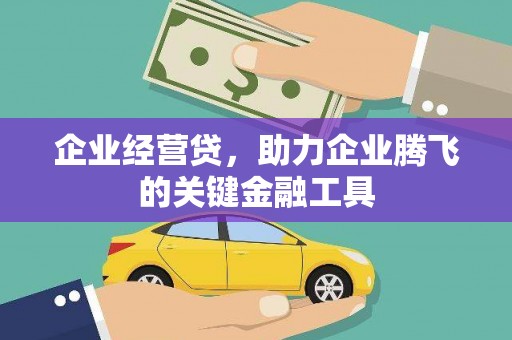 凤县企业经营贷，助力企业腾飞的关键金融工具
