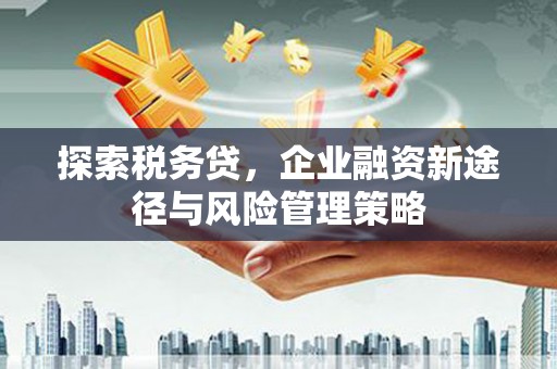 凤县探索税务贷，企业融资新途径与风险管理策略