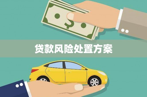 凤县贷款风险处置方案