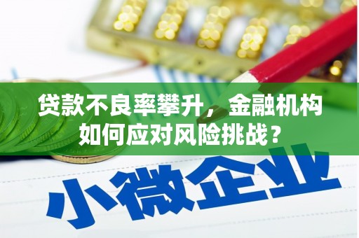 凤县贷款不良率攀升，金融机构如何应对风险挑战？