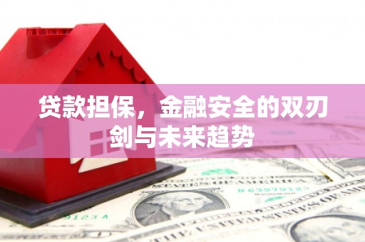 凤县贷款担保，金融安全的双刃剑与未来趋势