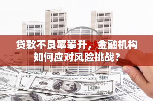 凤县贷款不良率攀升，金融机构如何应对风险挑战？