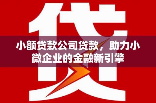 凤县小额贷款公司贷款，助力小微企业的金融新引擎