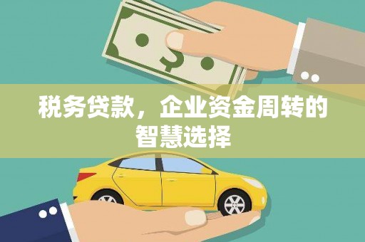凤县税务贷款，企业资金周转的智慧选择
