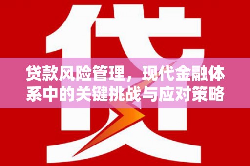凤县贷款风险管理，现代金融体系中的关键挑战与应对策略