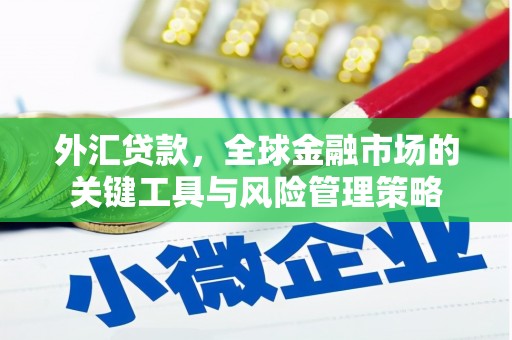凤县外汇贷款，全球金融市场的关键工具与风险管理策略