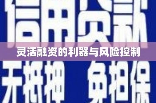 凤县灵活融资的利器与风险控制
