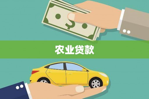 凤县农业贷款