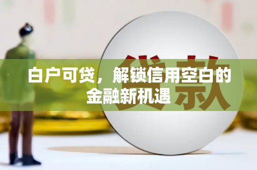 凤县白户可贷，解锁信用空白的金融新机遇