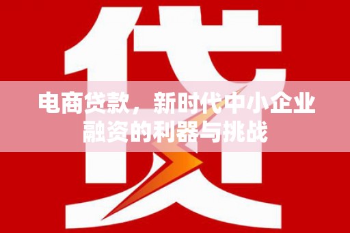 凤县电商贷款，新时代中小企业融资的利器与挑战