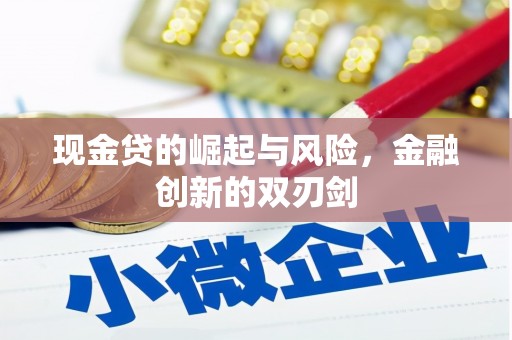 凤县现金贷的崛起与风险，金融创新的双刃剑