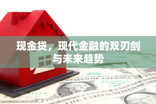 凤县现金贷，现代金融的双刃剑与未来趋势