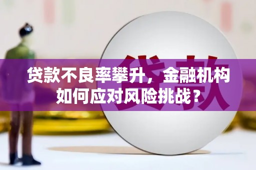 凤县贷款不良率攀升，金融机构如何应对风险挑战？