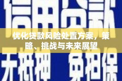 凤县优化贷款风险处置方案，策略、挑战与未来展望