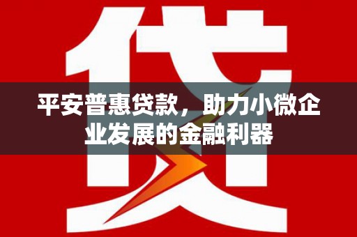 凤县平安普惠贷款，助力小微企业发展的金融利器