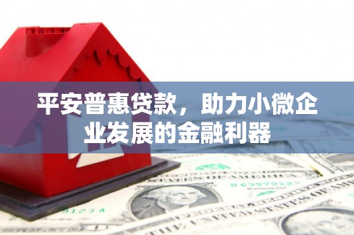 凤县平安普惠贷款，助力小微企业发展的金融利器