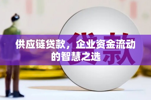 凤县供应链贷款，企业资金流动的智慧之选