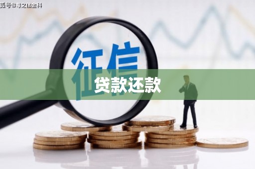 凤县贷款还款