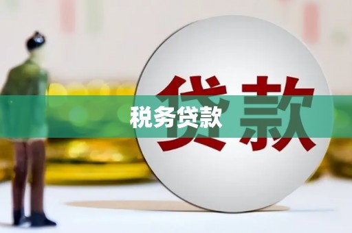 凤县税务贷款