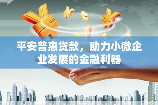 凤县平安普惠贷款，助力小微企业发展的金融利器