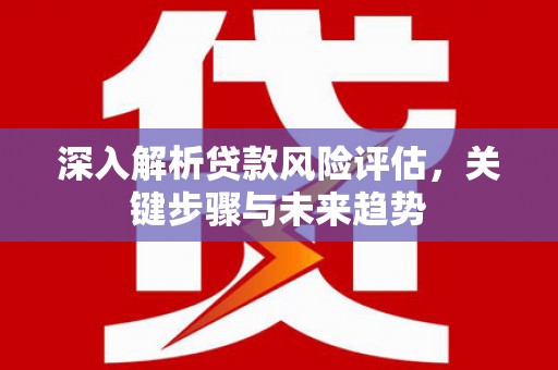 凤县深入解析贷款风险评估，关键步骤与未来趋势