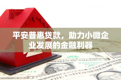 凤县平安普惠贷款，助力小微企业发展的金融利器