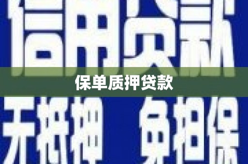 凤县保单质押贷款