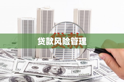 凤县贷款风险管理