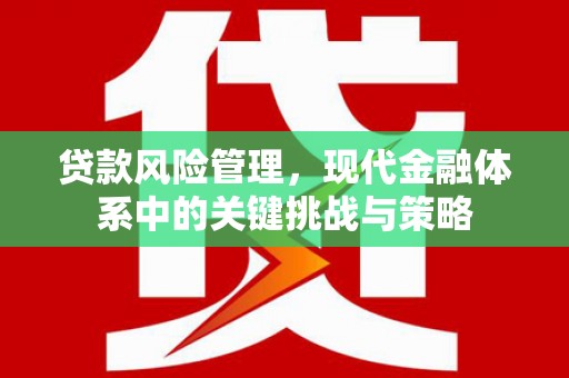 凤县贷款风险管理，现代金融体系中的关键挑战与策略
