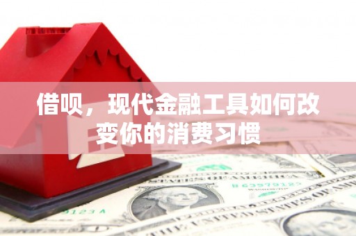 凤县借呗，现代金融工具如何改变你的消费习惯