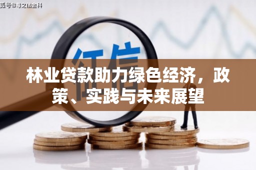 凤县林业贷款助力绿色经济，政策、实践与未来展望