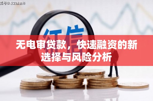 凤县无电审贷款，快速融资的新选择与风险分析