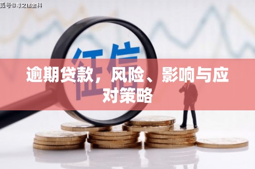 凤县逾期贷款，风险、影响与应对策略